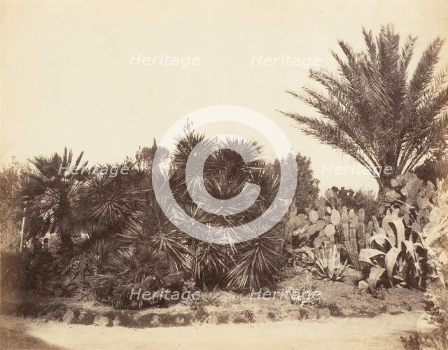 Pincian Garden, Rome, 1853-56. Creator: Possibly by Jane Martha St. John.