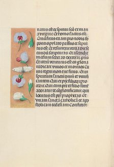 Hours of Queen Isabella the Catholic, Queen of Spain: Fol. 91v, c. 1500. Creator: Master of the First Prayerbook of Maximillian (Flemish, c. 1444-1519); Associates, and.