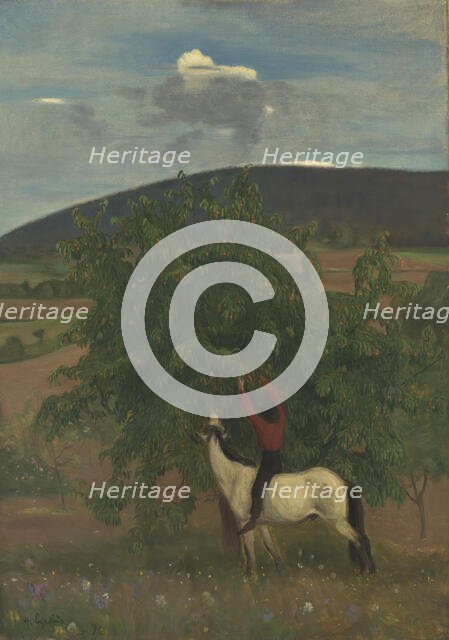 Summer, Bo in Telemark, 1896. Creator: Halfdan Egedius.