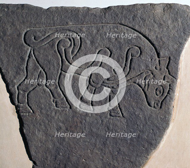 Pictish incised stone with a bull motif, 6th century. Artist: Unknown