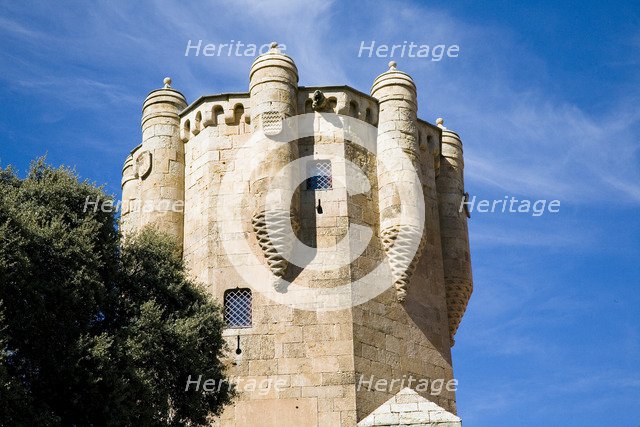 Clavero Tower, Palace of Sotomayor, Salamanca, Spain, 2007. Artist: Samuel Magal