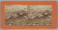 Stereograph of a deceased soldier on the battlefield after Gettysburg, 1863. Creator: Alexander Gardner.