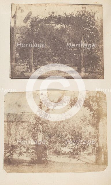 Garden at Umballa, 1850s. Creator: Unknown.