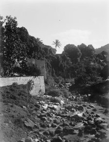 On the road to the Botanical Gardens, Martinique, W.I., between 1880 and 1901. Creator: Unknown.