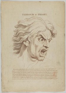 Terror or Fright (from Heads Representing the Various Passions of the Soul; as they are E..., 1765. Creator: Anon.