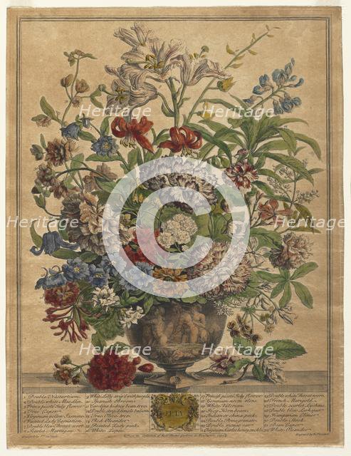Twelve Months of Flowers: July, 1730. Creator: Henry Fletcher (British, active 1715-38).