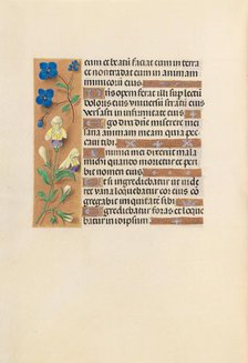 Hours of Queen Isabella the Catholic, Queen of Spain: Fol. 241v, c. 1500. Creator: Master of the First Prayerbook of Maximillian (Flemish, c. 1444-1519); Associates, and.