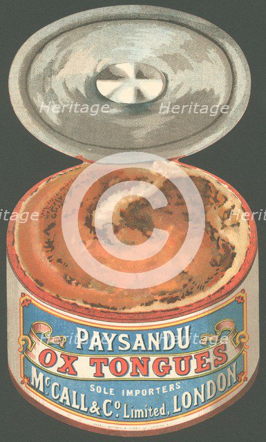 Paysandu ox tongue, 1890s. Artist: Unknown