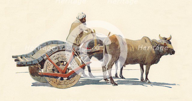 'A Bullock Cart, Jodhpur', c1880 (1905). Creator: Alexander Henry Hallam Murray.