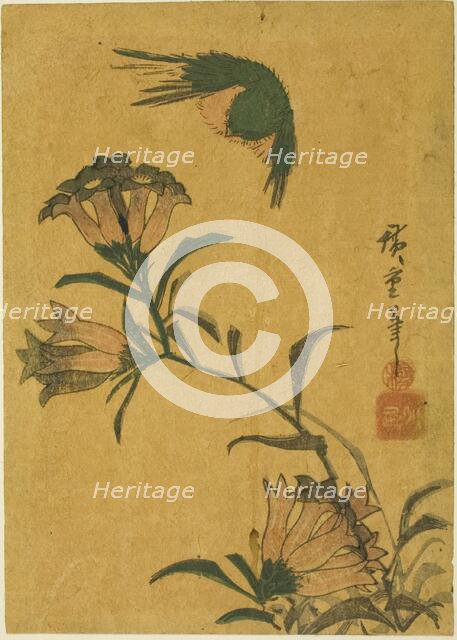 Bird and gentian, c. 1830s. Creator: Ando Hiroshige.