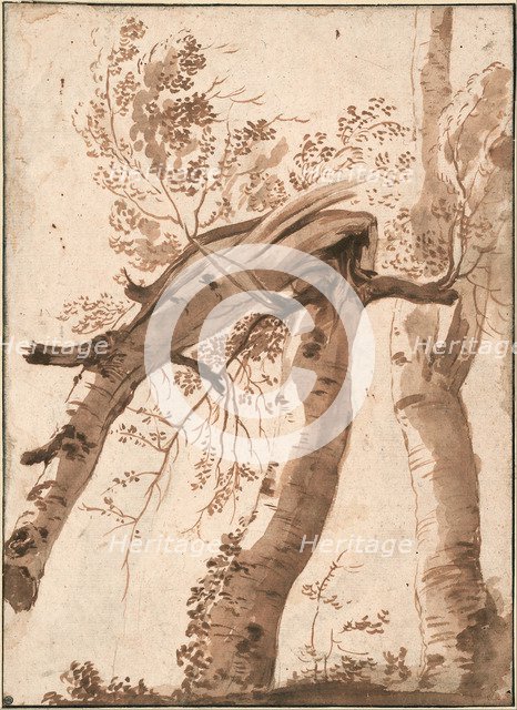 Two Silver Birches, the Front One Fallen, c. 1629. Artist: Poussin, Nicolas (1594-1665)