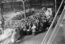 Greeks boarding MADONNA, 1912. Creator: Bain News Service.