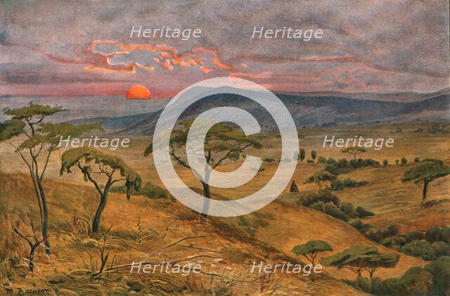 ''Vue des steppes du Massai; Le Nord-Est Africain', 1914. Creator: Unknown.