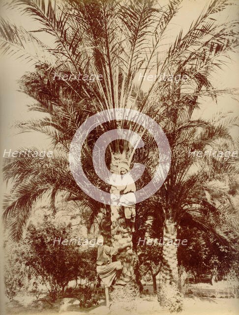 Egypt, 1880. Creator: Hippolyte Arnoux.