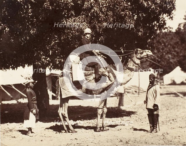 J.C.S. on a Riding Camel, 1858-61. Creator: Unknown.