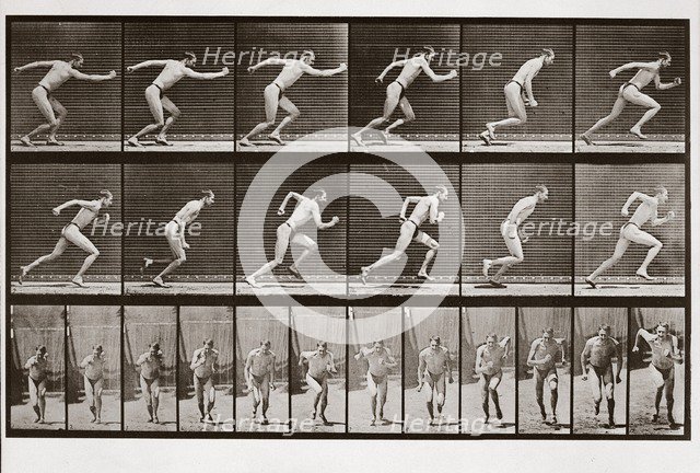 Man running, Plate 59 from Animal Locomotion, 1887 (photograph)