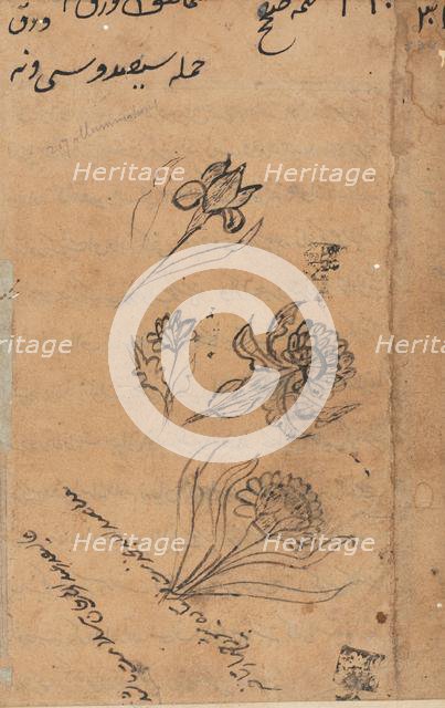 Page from Tales of a Parrot (Tuti-nama): text page, c. 1560. Creator: Unknown.