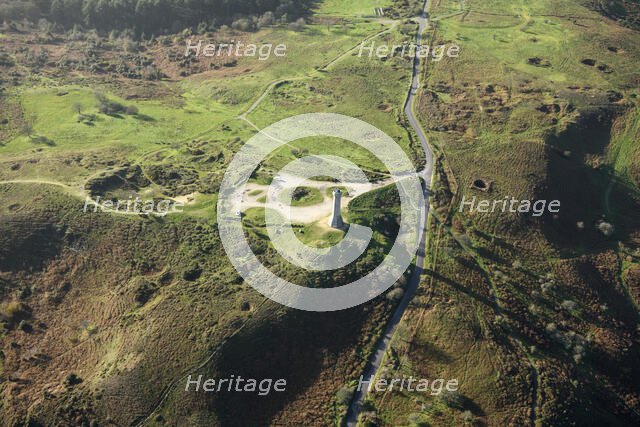 The Hardy Monument, commemorating Vice-Admiral Sir Thomas Hardy, Black Down, Dorset, 2025. Creator: Damian Grady.