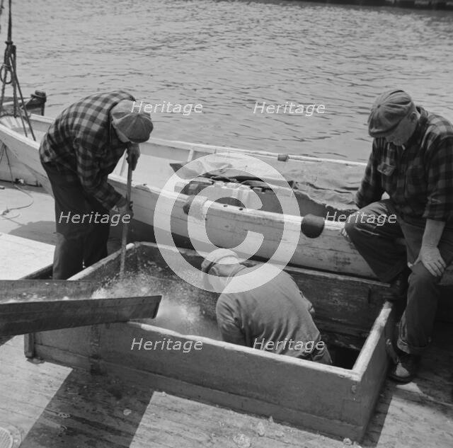 Icing the hold of a ship at the Fulton fish market, New York, 1943. Creator: Gordon Parks.