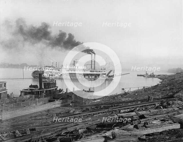 The Levee, Baton Rouge, La., c.between 1910 and 1920. Creator: Unknown.