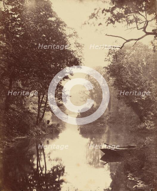 A Summer's Evening, Penllergare, August 25, 1854. Creator: John Dillwyn Llewelyn.