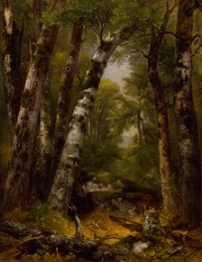 Woodland Glen, ca. 1850-1855. Creator: Asher Brown Durand.