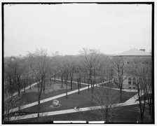 Campus, U. of M., Ann Arbor, Mich., between 1900 and 1915. Creator: Unknown.