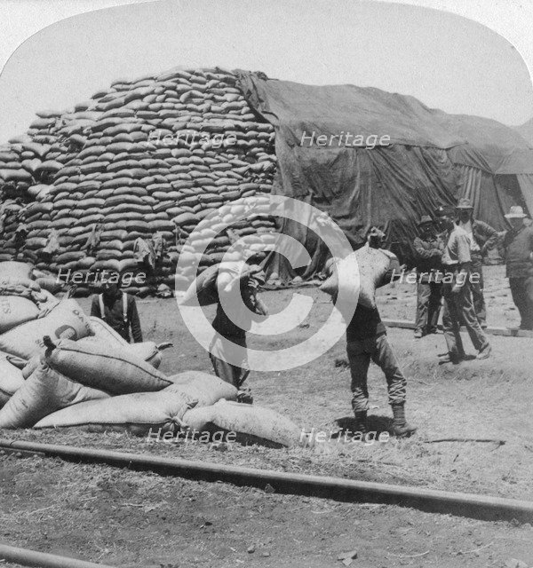 'Tons upon tons of oats for Tommy's faithful friend', De Aar, South Africa, Boer War, 1900.Artist: Underwood & Underwood