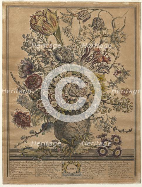 Twelve Months of Flowers: March, 1730. Creator: Henry Fletcher (British, active 1715-38).