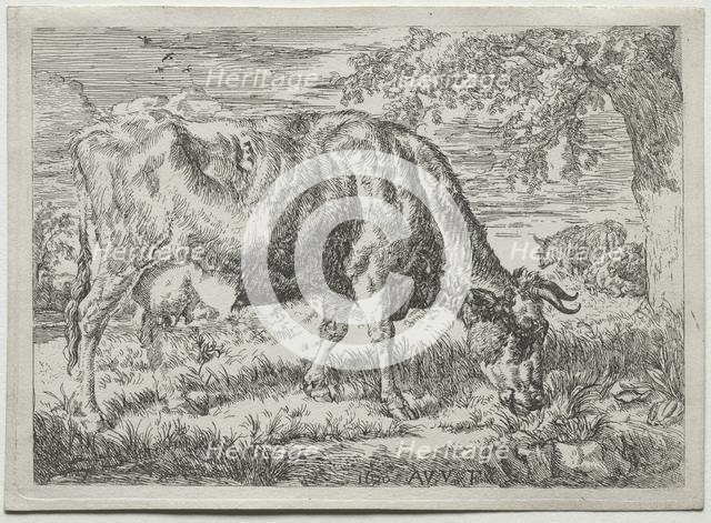 Cow and Two Sheep at the Foot of a Tree, 1670. Creator: Adriaen van de Velde (Dutch, 1636-1672).