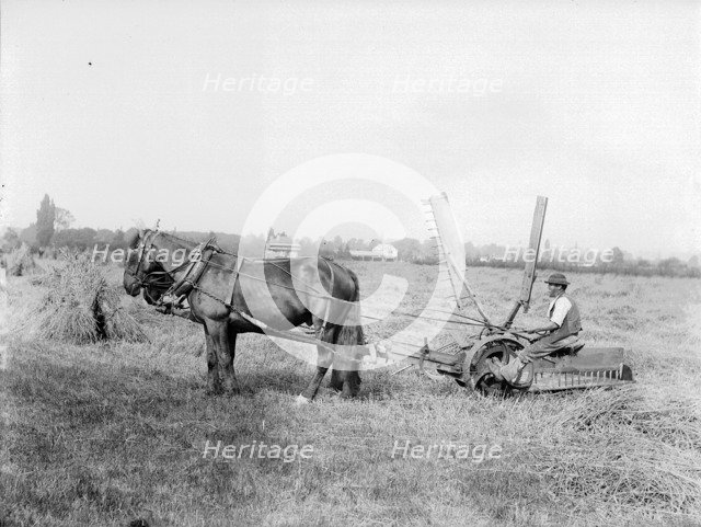 Harvesting in Oxfordshire, c1860-c1922. Artist: Henry Taunt