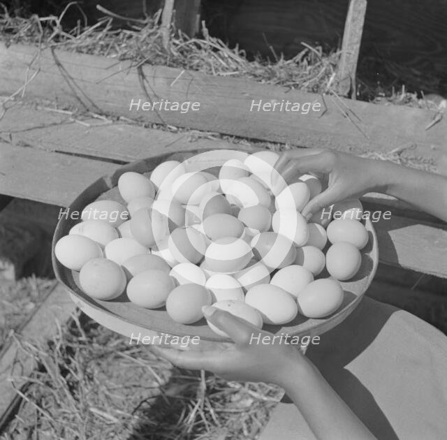 Bethune-Cookman College, Daytona Beach, Florida, 1943. Creator: Gordon Parks.