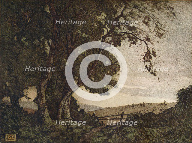 'The Drooping Ash', c1910. Artist: Alfred Hartley.