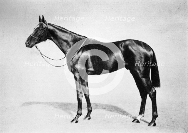 'Lemberg', 1911. Artist: Unknown.