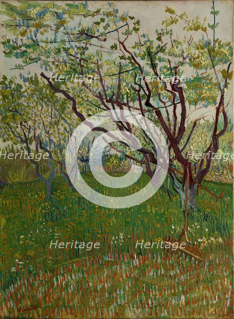 The Flowering Orchard, 1888. Creator: Vincent van Gogh.