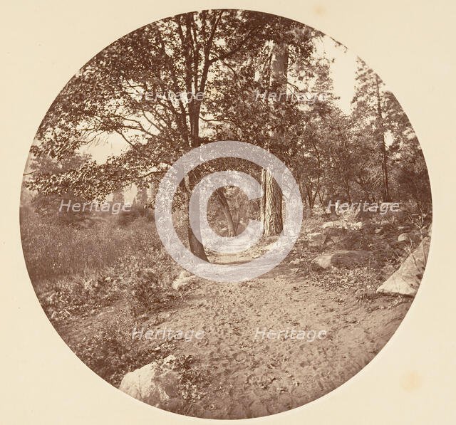 In the Yosemite Valley, ca. 1878. Creator: Carleton Emmons Watkins.