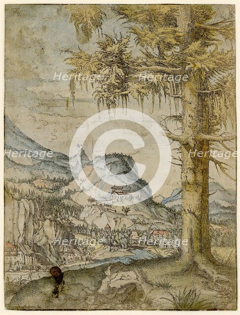 Large Spruce, ca 1517-1520. Creator: Altdorfer, Albrecht (c. 1480-1538).