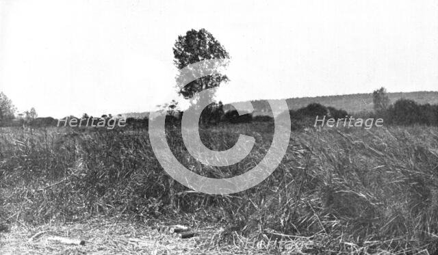 'L'immense champ de Bataille', 1914. Creator: Unknown.