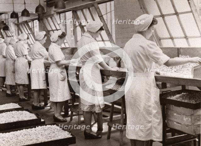 Cream manufacturing department, Rowntree factory, York, Yorkshire, 1949. Artist: Unknown