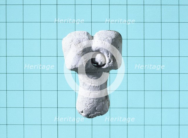 A votive offering of the male genitalia. Artist: Unknown