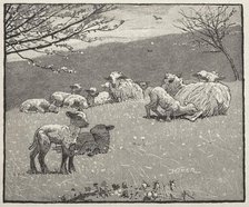 Spring Lamb, 1880. Creator: Winslow Homer (American, 1836-1910).