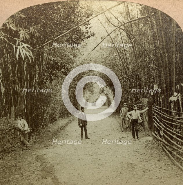 The Mardyke, Cork, Ireland.Artist: BW Kilburn