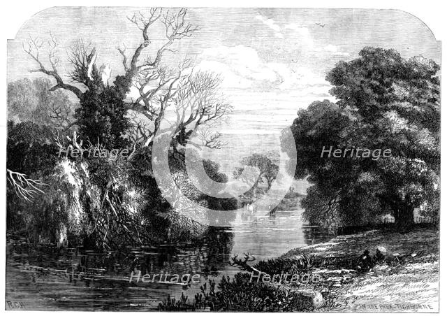 View in Tichborne Park, Alresford, Hants, 1871. Creator: Unknown.