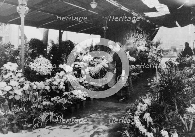 Flower market, Quai de la Cité, 1925. Creator: Frances Benjamin Johnston.