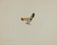 Toy Rooster, c. 1938. Creator: Lillian Hunter.