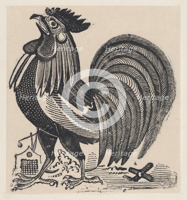 A rooster, ca. 1880-1910., ca. 1880-1910. Creator: José Guadalupe Posada.