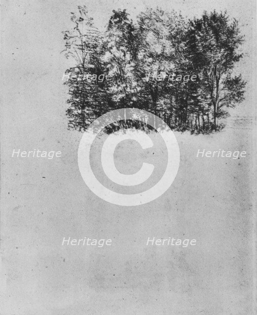 Study of a Coppice', c1480 (1945). Artist: Leonardo da Vinci.