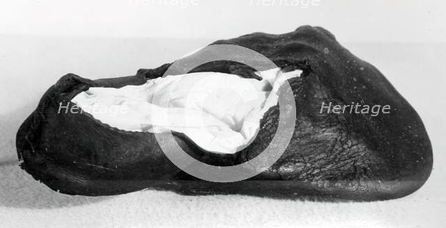 Bear's Paw Shoe, England, 16th century. Creator: Unknown.