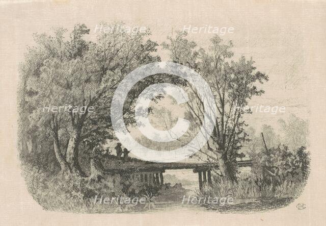 Willows, 1870s-1880s. Creator: Carl C. Brenner.