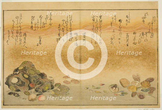 Ashi-gai, hamaguri, ko-gai, suzume-gai, akoya-gai, and katashi-gai, from the illustrated..., 1789. Creator: Kitagawa Utamaro.